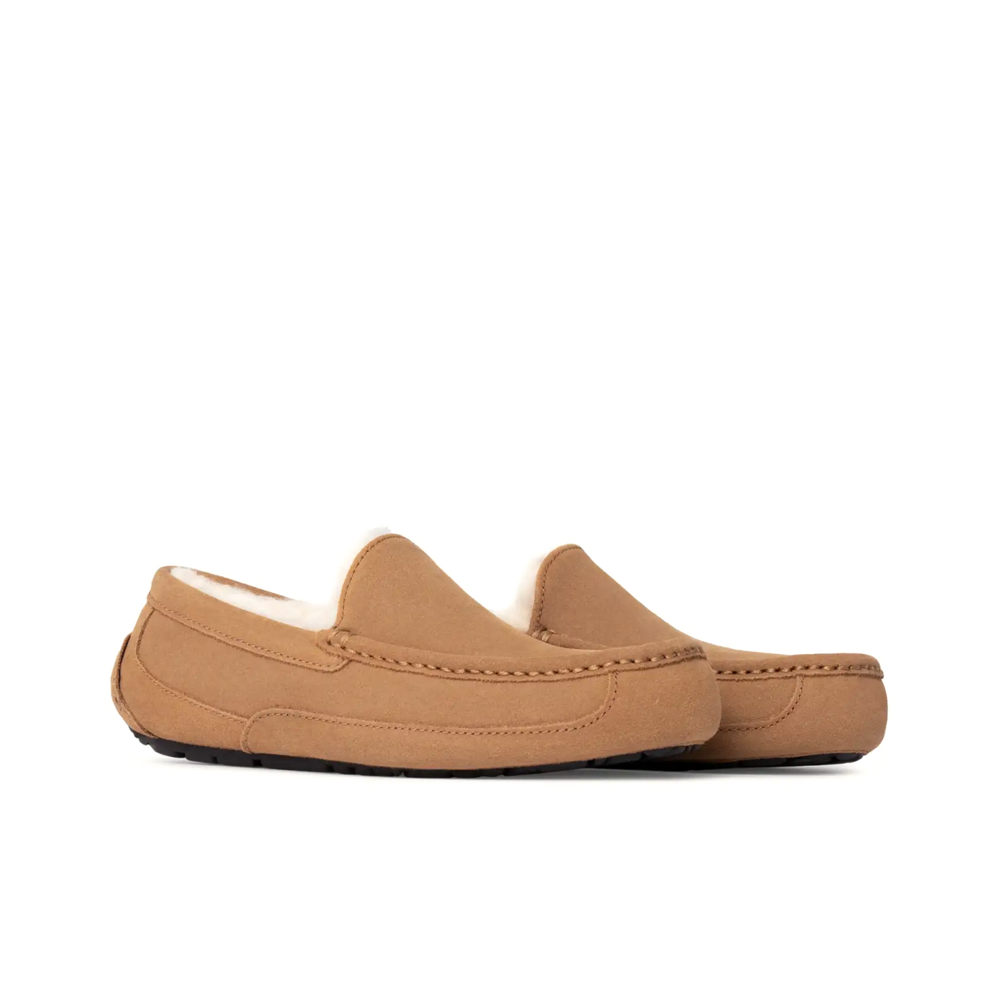 UGG ASCOT SLIPPER MEN