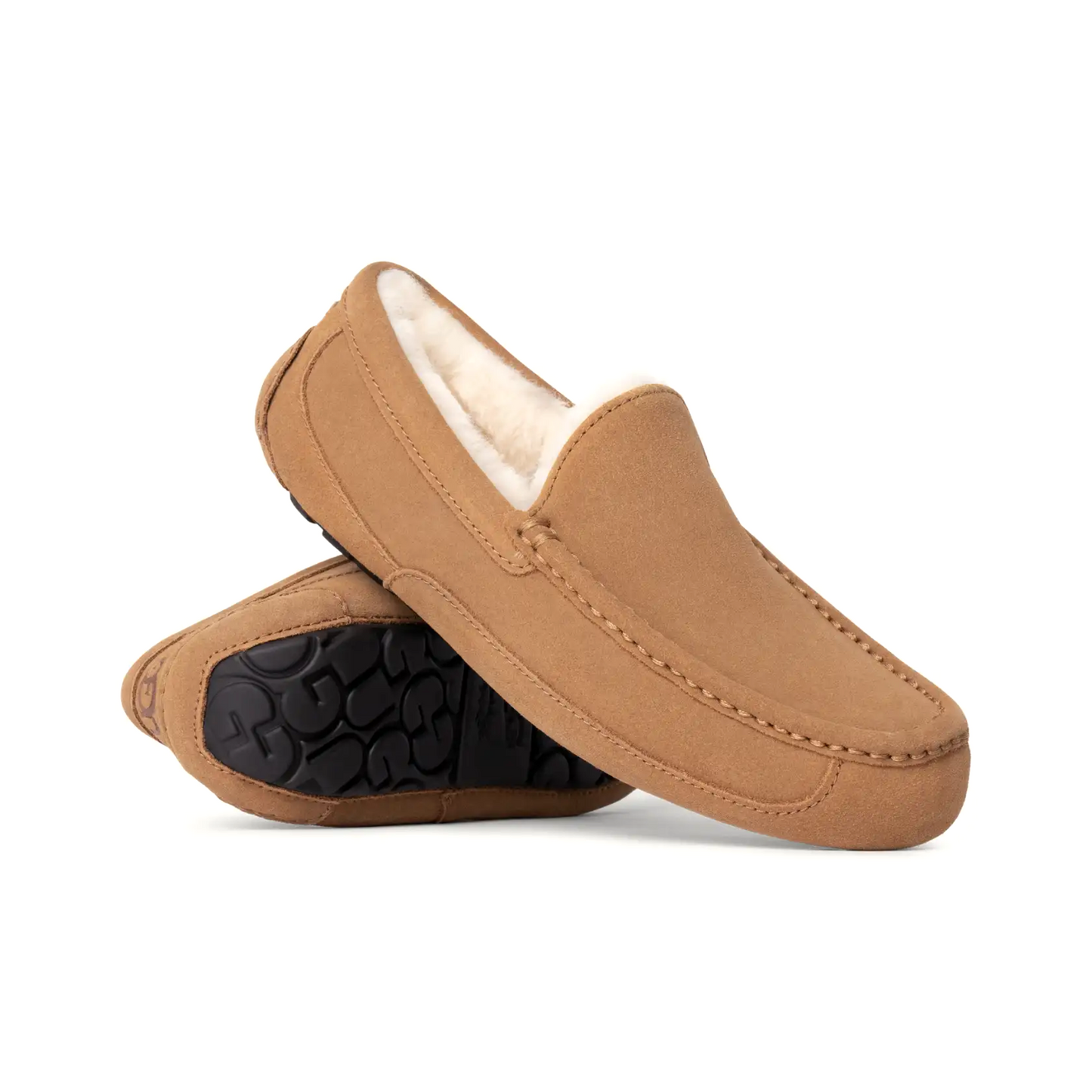 UGG ASCOT SLIPPER MEN