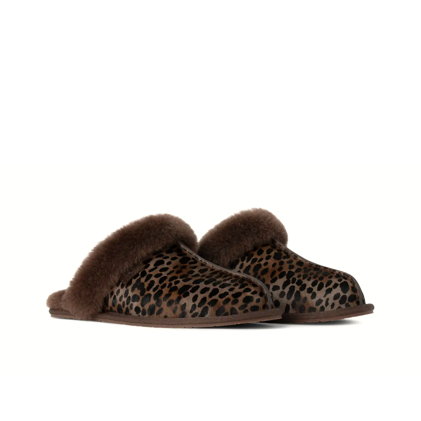 UGG SCUFFETTE CASPIAN WOMEN