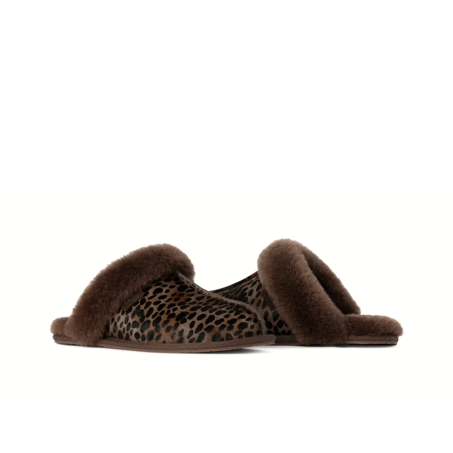 UGG SCUFFETTE CASPIAN WOMEN