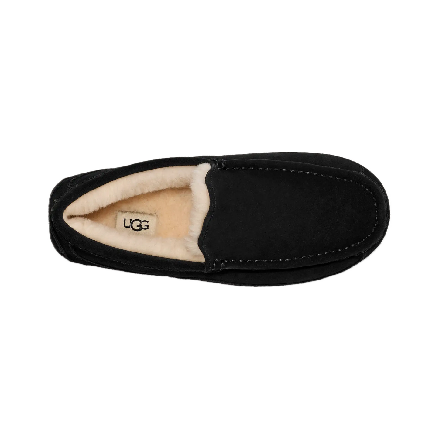 UGG ASCOT SLIPPER MEN