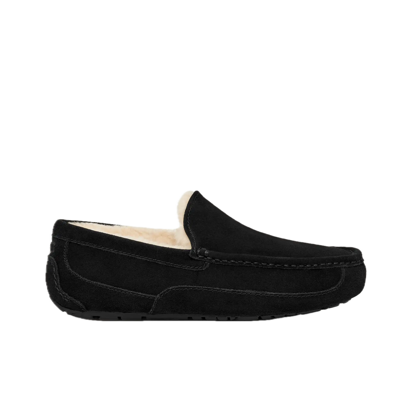 UGG ASCOT SLIPPER MEN