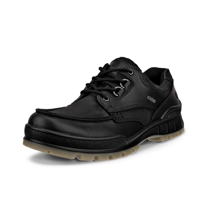 ECCO TRACK 25 GORE-TEX SHOE MEN