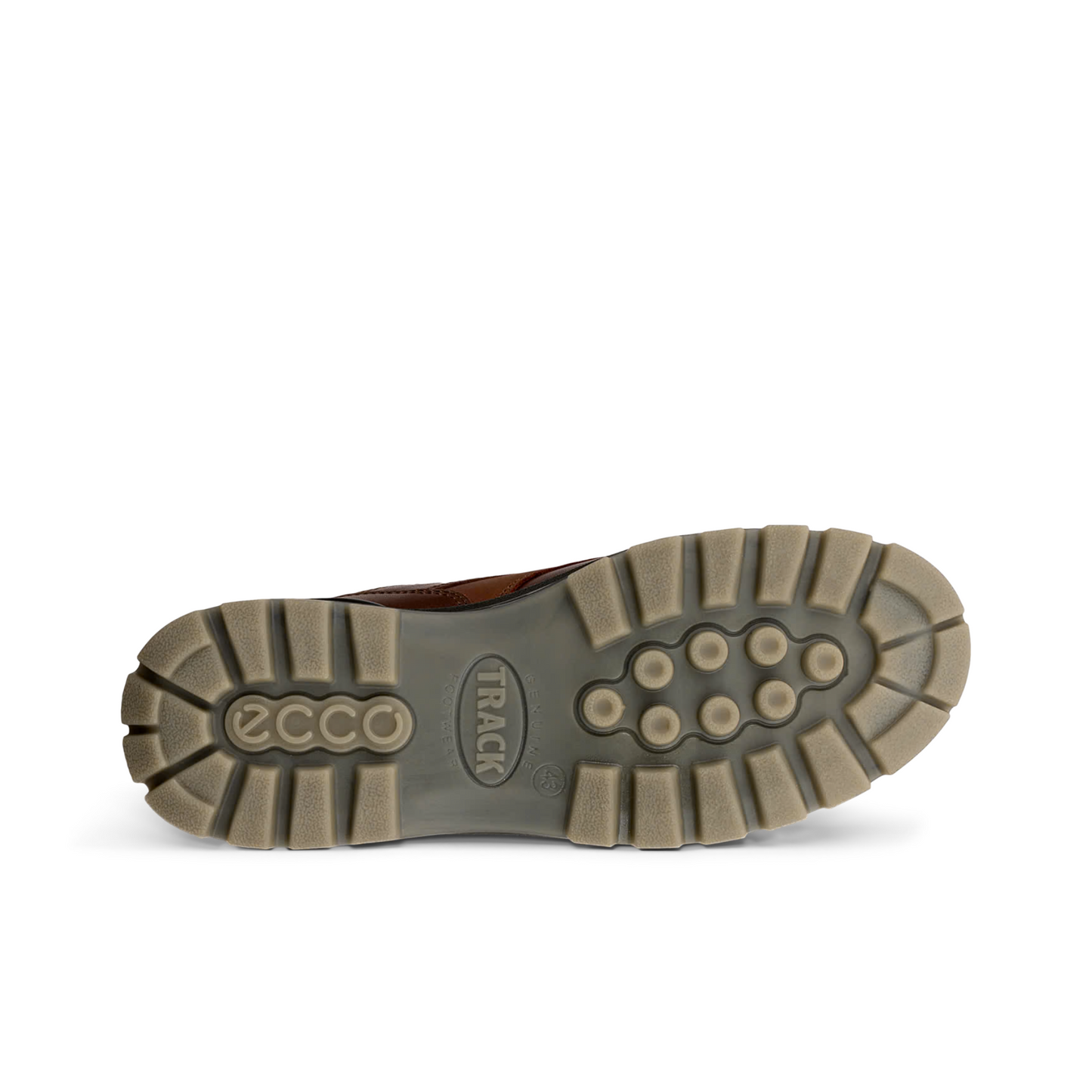 ECCO TRACK 25 GORE-TEX SHOE MEN