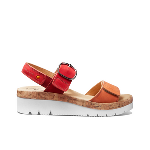 CORAL / 6