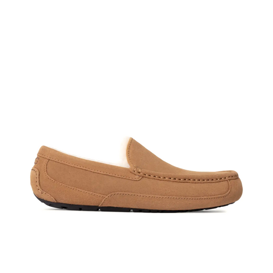 UGG ASCOT SLIPPER MEN