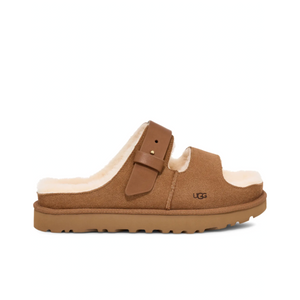 CHESTNUT / 10