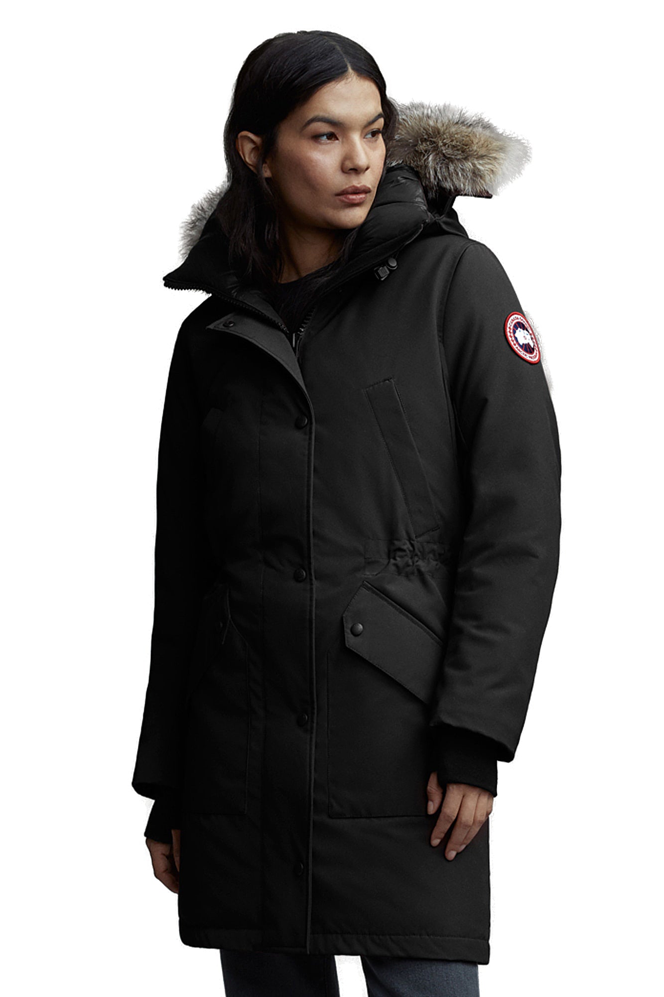 Ellesmere parka cheap canada goose